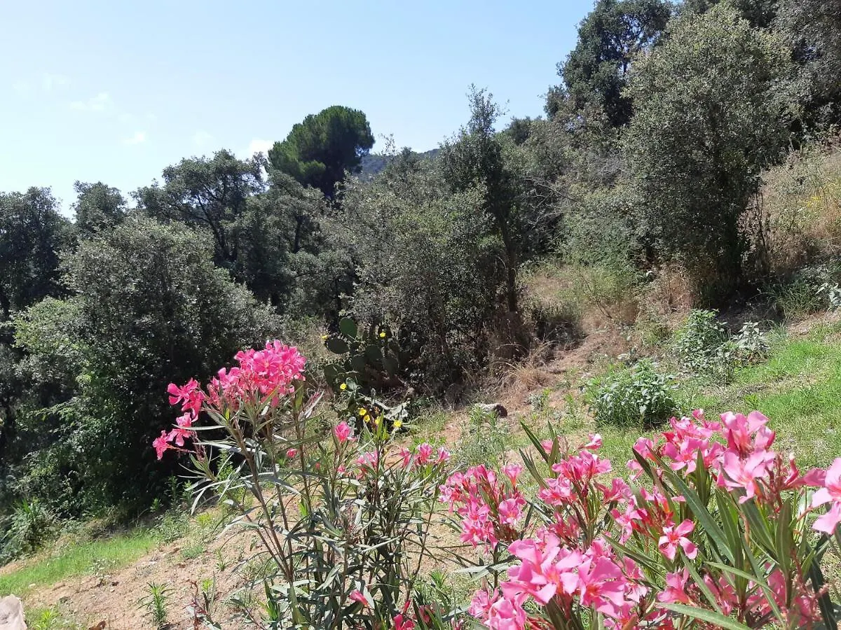 Holiday home Sea View Holiday House Calonge Villa Calonge  Spain